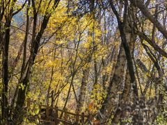 -叠溪松坪沟景区