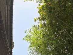 -罔极寺