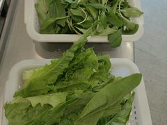 -正能量脆肉鲩火锅