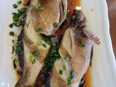 -魚當家