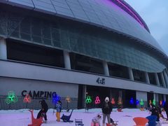 -沈阳奥体冰雪嘉年华