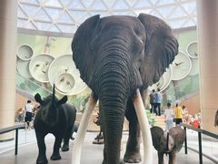 -陕西自然博物馆