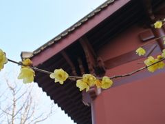 -钱王祠