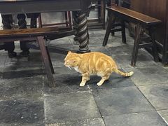 -吾介小籠館