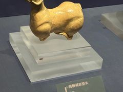 -温州博物馆
