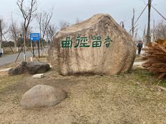 -南湖湿地公园