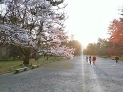 -京都御所