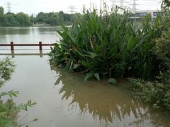-九里河湿地公园