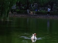 -月牙潭公园