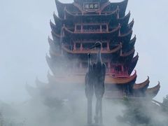 -黄鹤楼公园(黄鹤楼)