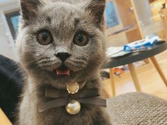 -Pets First伊珊娜洗护·精致美容·家庭式寄养(新会路店)