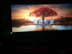 -万达影城(IMAX激光铁西万达广场店)