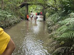 -桤木河湿地公园