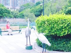 -屯门公园