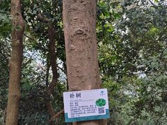 -广州市白云山风景名胜区