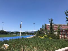 -北京八中游泳馆