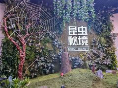 -陕西自然博物馆