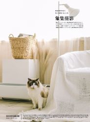 -ZOO KIDS象集摄影工作室(西城公馆店)