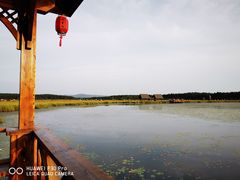 -塞罕坝国家级自然保护区