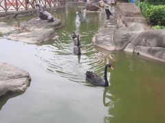 -海合安武汉极地海洋公园
