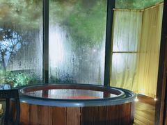 -春晖园度假酒店温泉