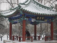 -月坛公园