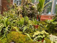 -国家植物园南园