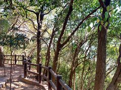 -上海佘山国家森林公园天马山园