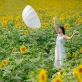 解忧:卵巢功能下降如何调理?吃什么保养卵巢最好?