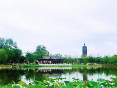 -西海子公园