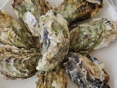 -渔民船说·北塘海鲜·天津菜·海肠捞饭(北塘古镇店)