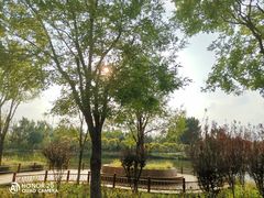 -东郊湿地公园