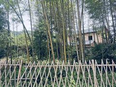 -井冈山风景名胜区
