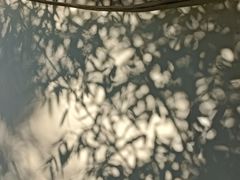 -龙口南山旅游景区