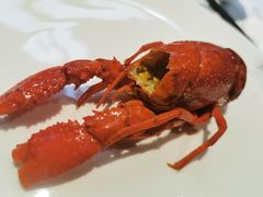 -洪福龙虾