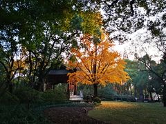 -汇龙潭