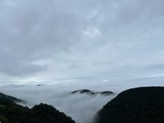 -武陵山森林公园