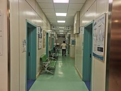 -北京观赏动物医院·24小时大型综合·猫专科·异宠专科