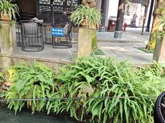 -王家渡火锅(三苏祠店)