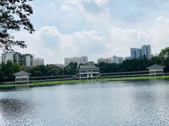-荔湾湖公园
