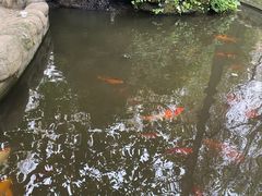 -林间山庄