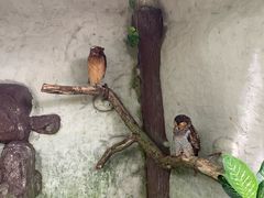 -吉隆坡雀鸟公园