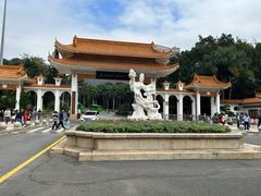 -深圳仙湖植物园