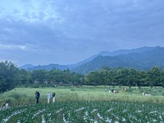 -太阳湾风景区