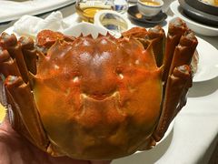 -红鼎豆捞· 20年老店每天都新鲜(宝丰路店)