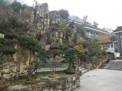 -老幺泉水鸡