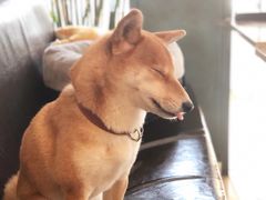 -小时光咖啡馆(北锣鼓巷店)