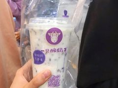 -一只酸奶牛(八一路店)