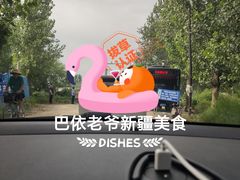 -巴依老爷新疆美食(望京小街店)