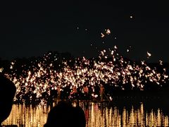 -长田漾湿地公园